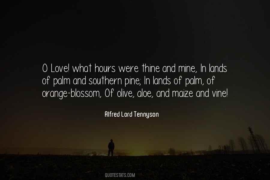 Tarrant Hightopp Quotes #1473902