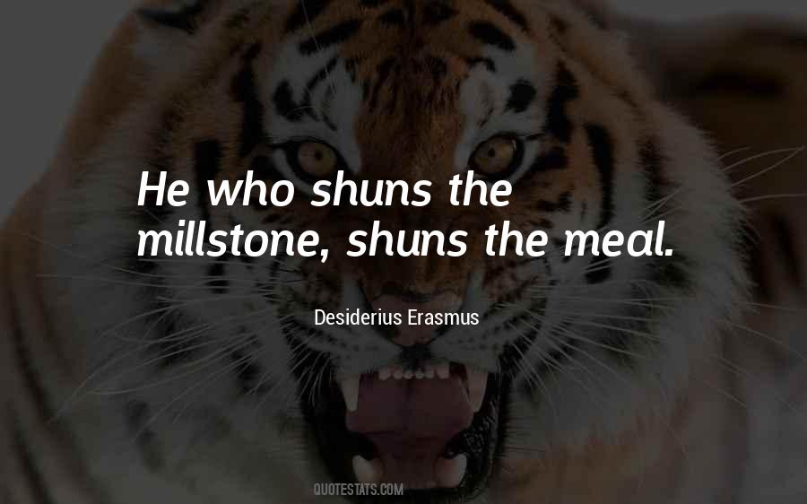Quotes About Desiderius Erasmus #196946