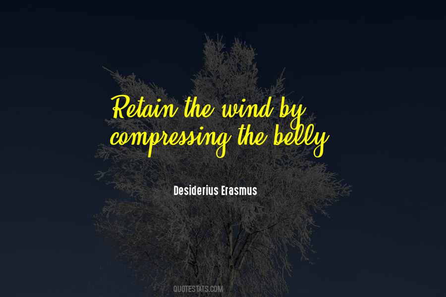Quotes About Desiderius Erasmus #323733