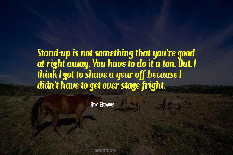 Quotes About Amy Schumer #1231140