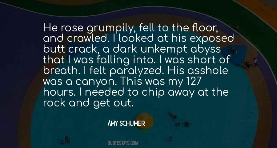 Quotes About Amy Schumer #1679321