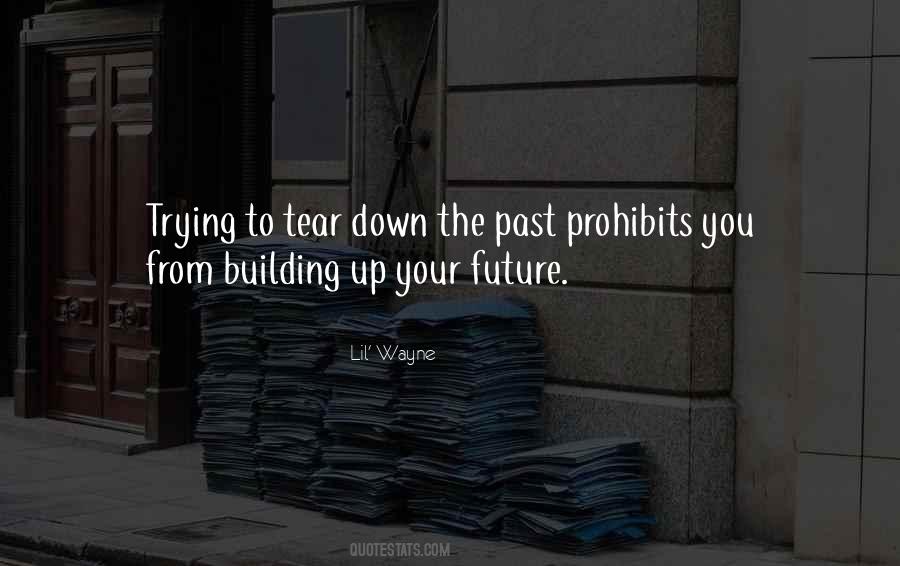 Tear Down Quotes #55592