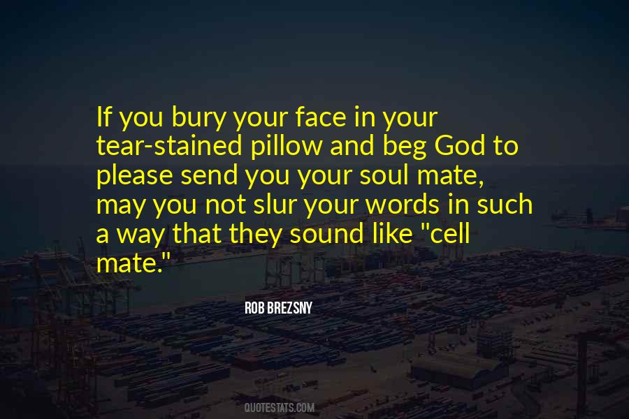 Tear Stained Pillow Quotes #1584939
