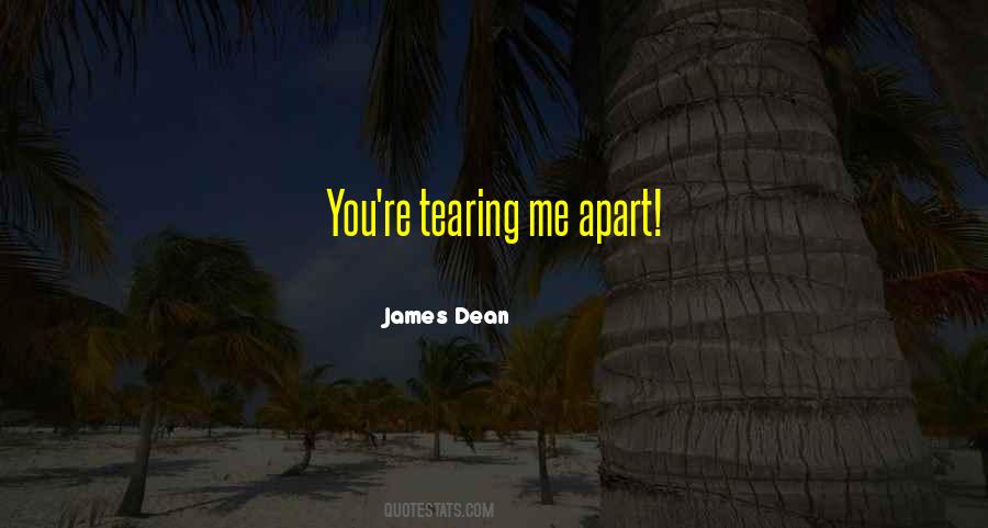 Tearing Me Apart Quotes #195177