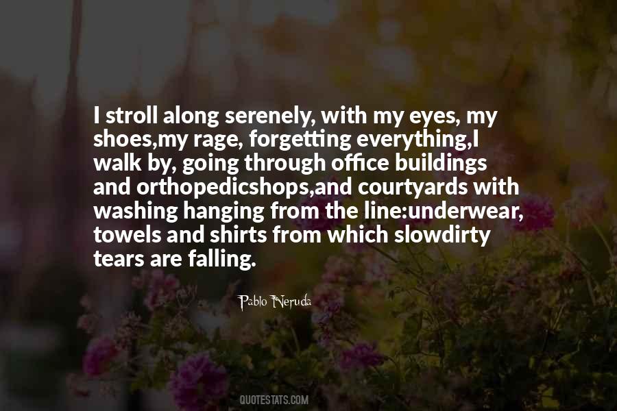 Tears Falling From My Eyes Quotes #1830009