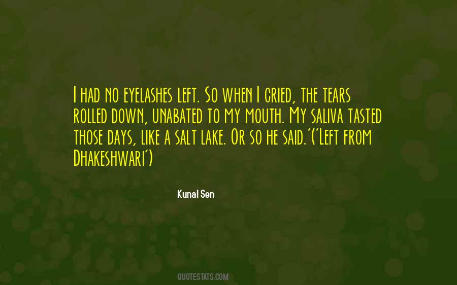 Tears I've Cried Quotes #1586299