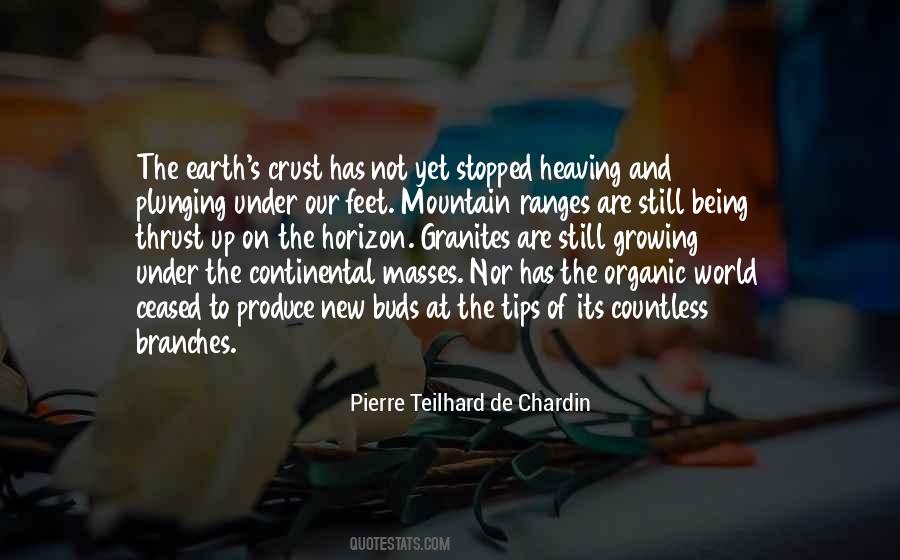 Teilhard De Chardin Quotes #118922