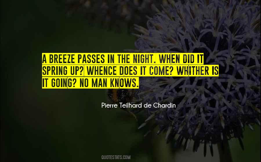 Teilhard De Chardin Quotes #970455