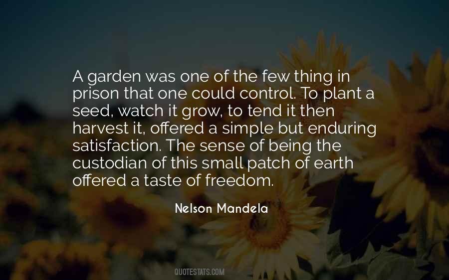 Tend Your Garden Quotes #58328