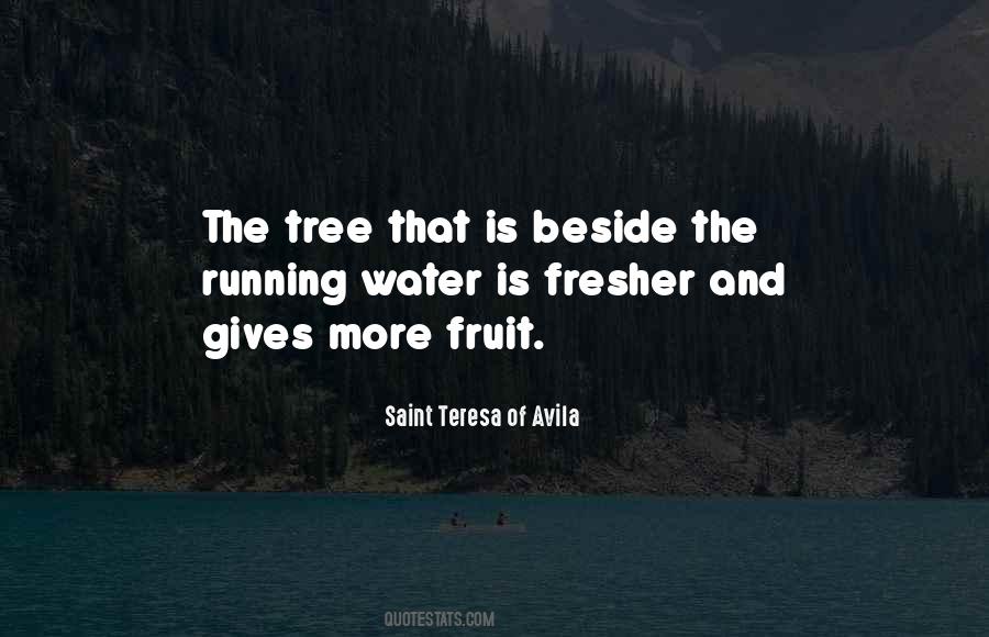 Teresa D'avila Quotes #262192