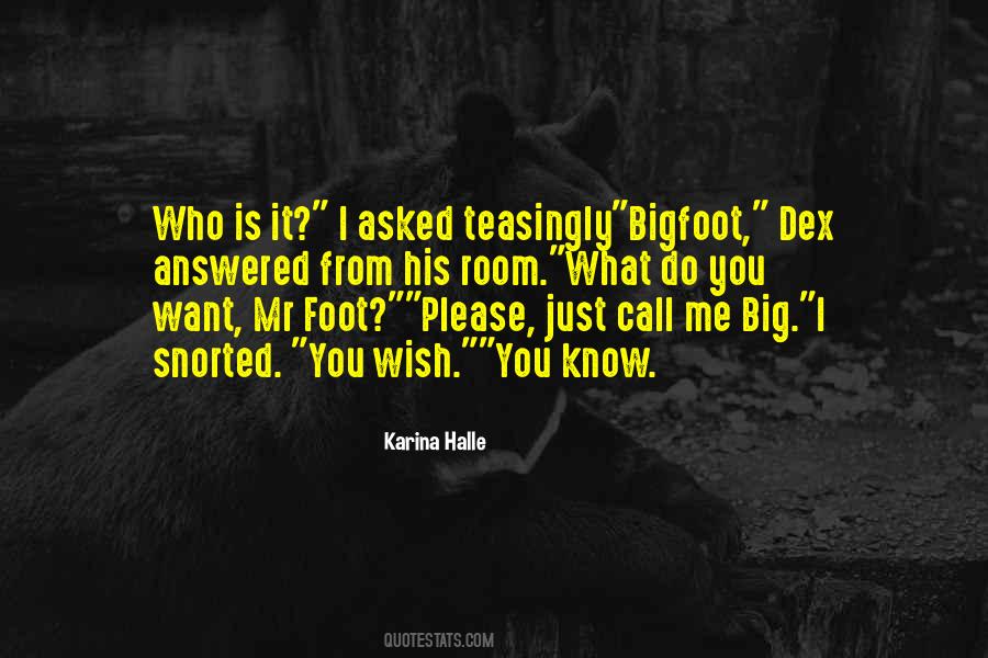 Quotes About Mr Big #870451