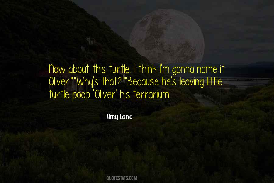 Terrarium Quotes #827629