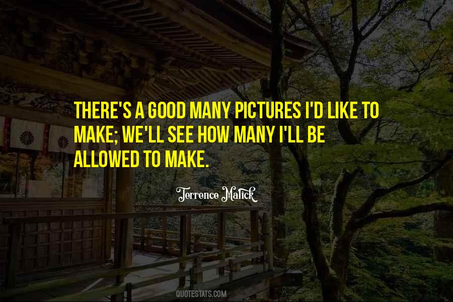 Terrence Malick To The Wonder Quotes #339568