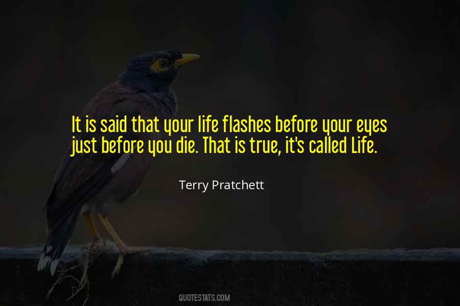 Terry Pratchett Death Quotes #1272415
