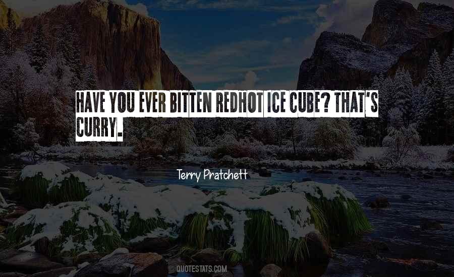 Terry Pratchett Death Quotes #1351780 Terry Pratchett Death Quotes #1351780