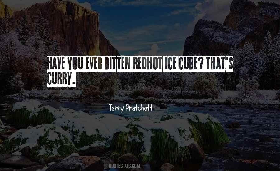 Terry Pratchett Death Quotes #1351780