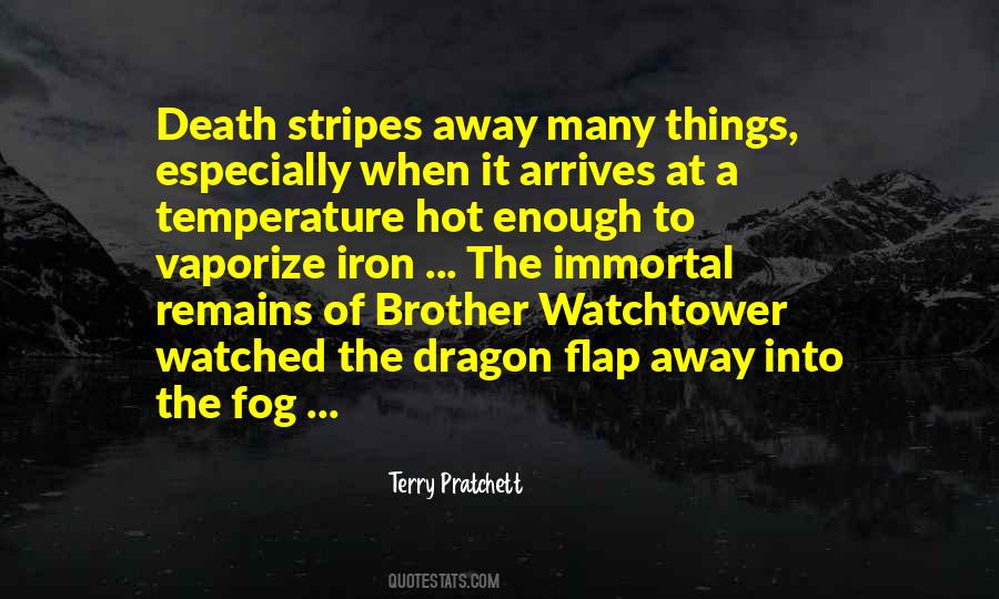Terry Pratchett Death Quotes #833935