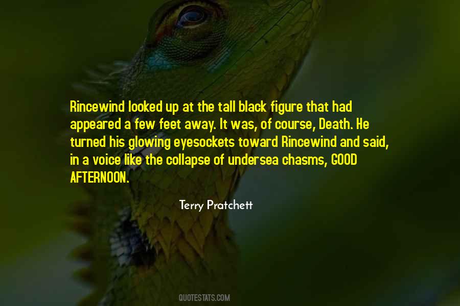 Terry Pratchett Death Quotes #966979