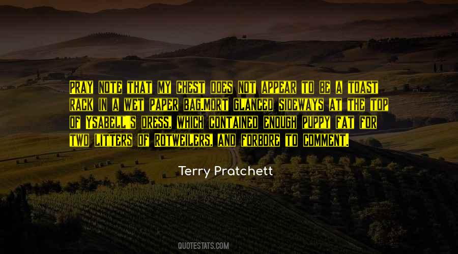 Terry Pratchett Mort Quotes #1202153