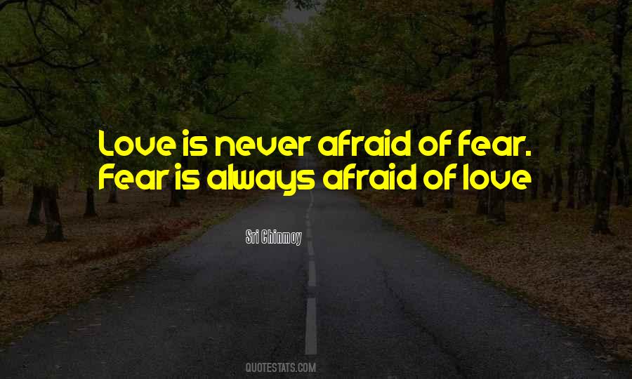 Quotes About Afraid Of Love #238767