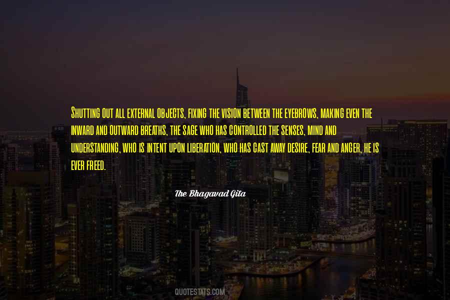 Quotes About Bhagavad Gita #1540453