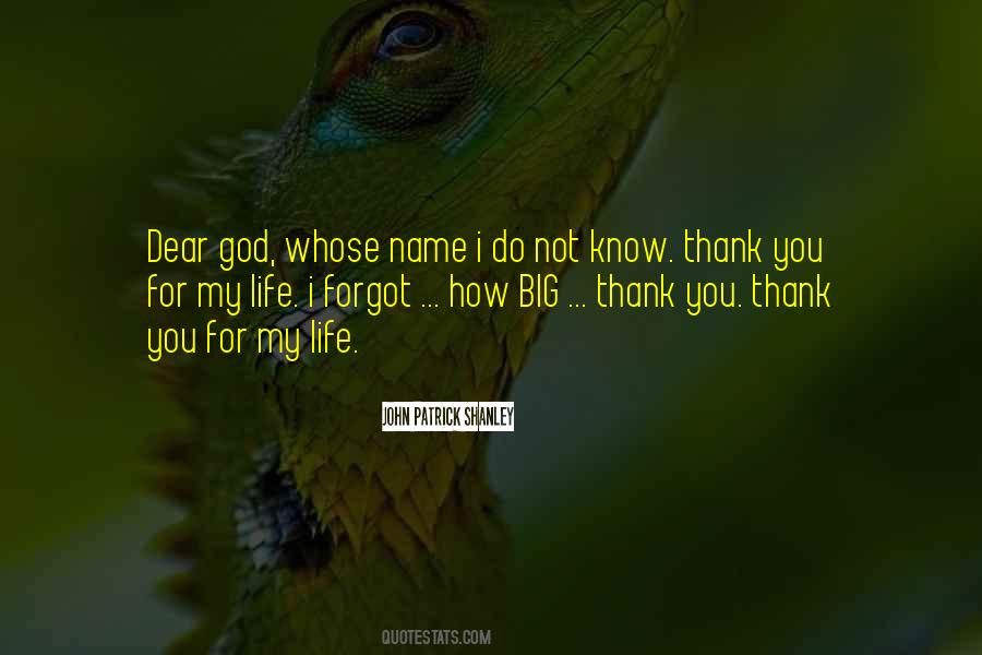 Thank God My Life Quotes #952560