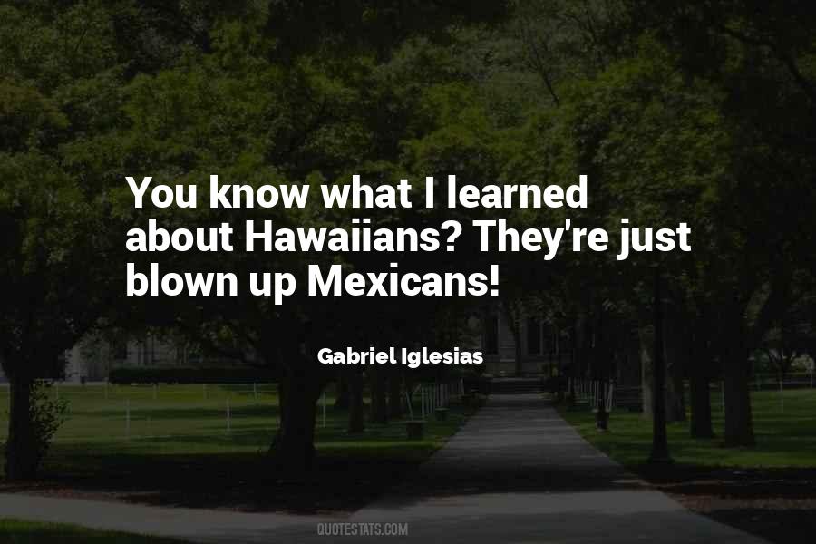 Quotes About Gabriel Iglesias #377568