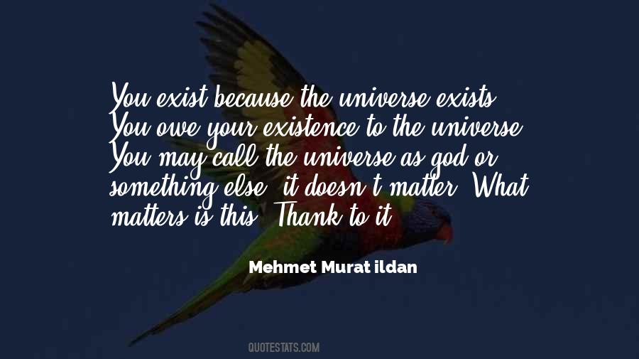 Thank You Universe Quotes #1015865