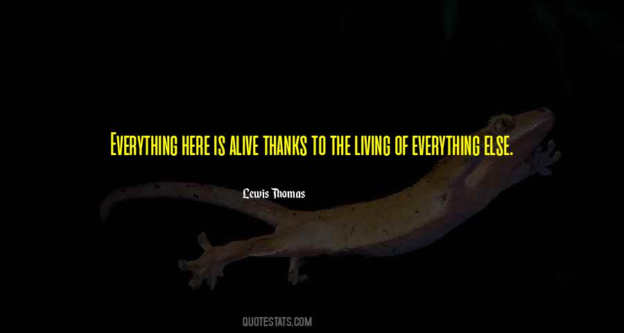 Thanks For Everything Quotes #145943