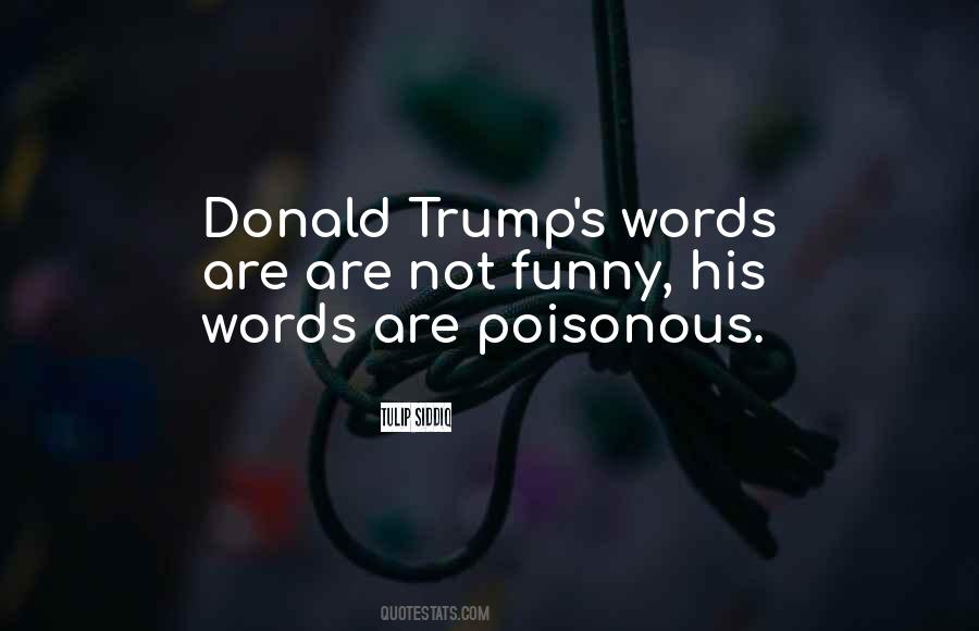 Quotes About Donald Trump #1041258