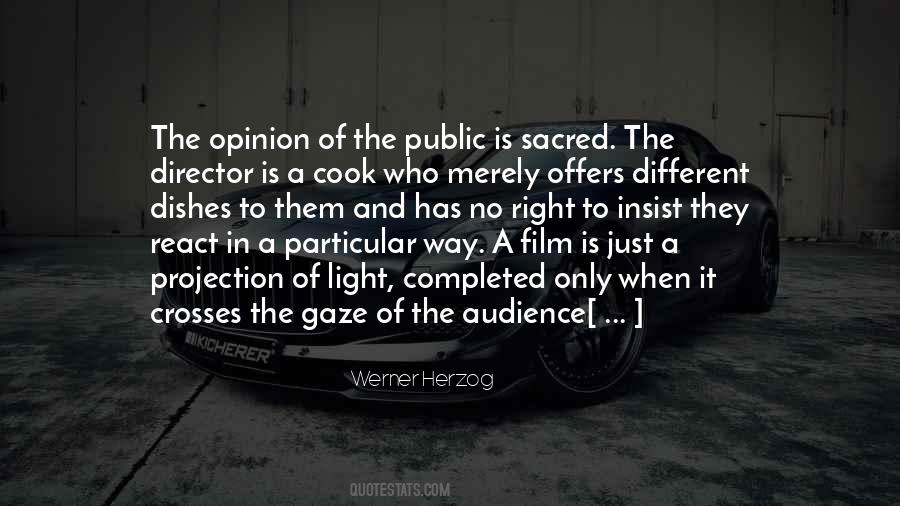 Quotes About Werner Herzog #1022827