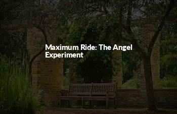 The Angel Experiment Quotes