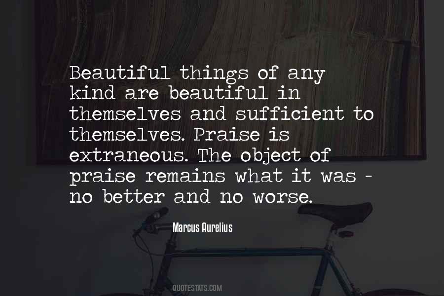 The Beautiful Things Quotes #65763