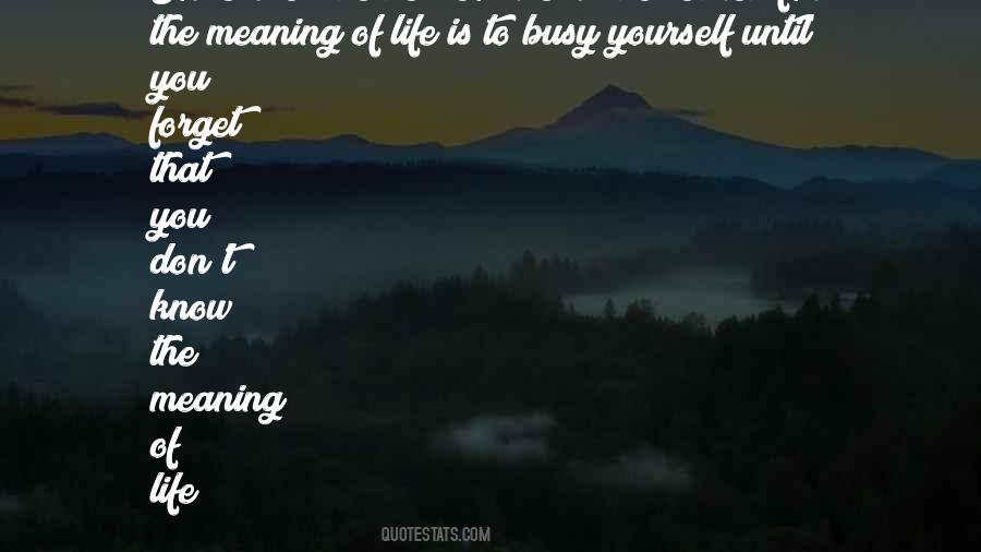 The Best Meaning Quotes #1836222