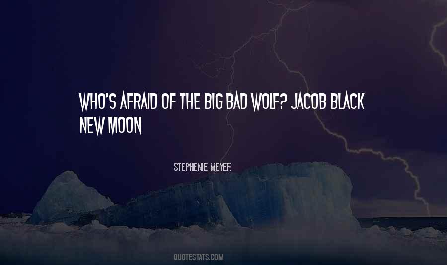 The Big Bad Wolf Quotes #31171