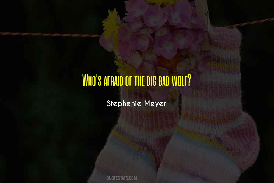 The Big Bad Wolf Quotes #87424