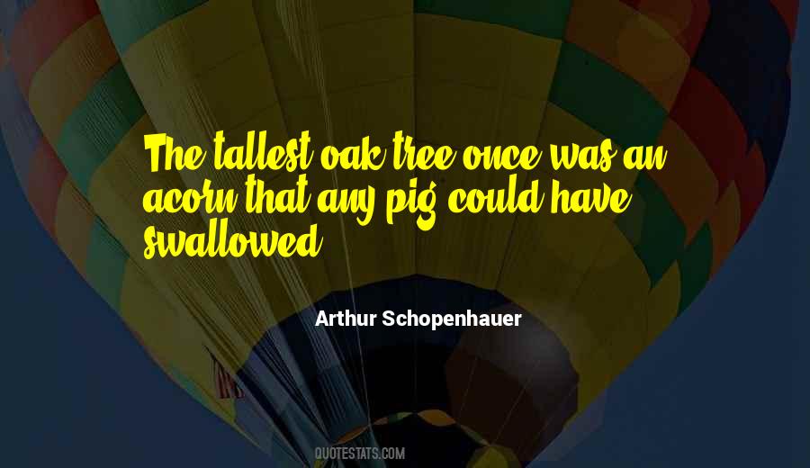 Quotes About Arthur Schopenhauer #151455