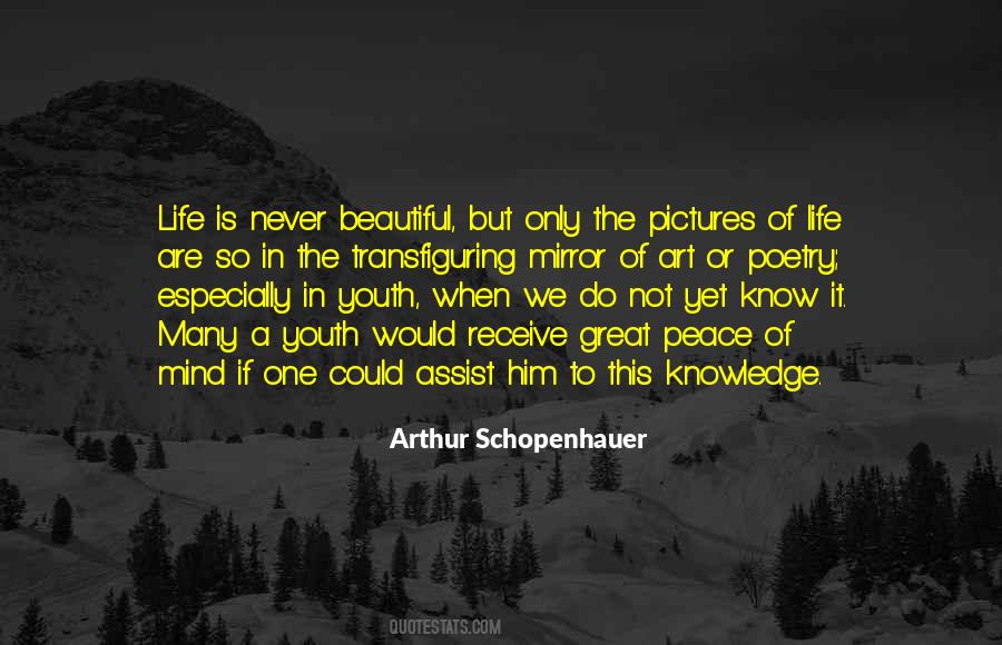 Quotes About Arthur Schopenhauer #171119