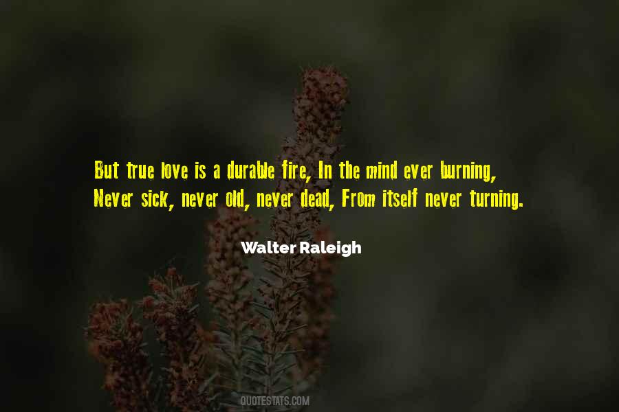 Quotes About Walter Raleigh #219