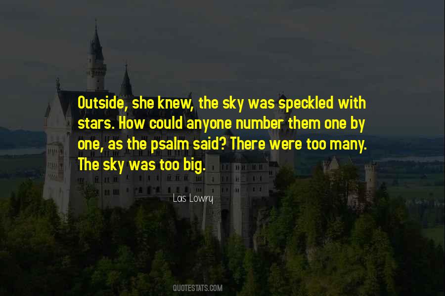 The Big Sky Quotes #1458052