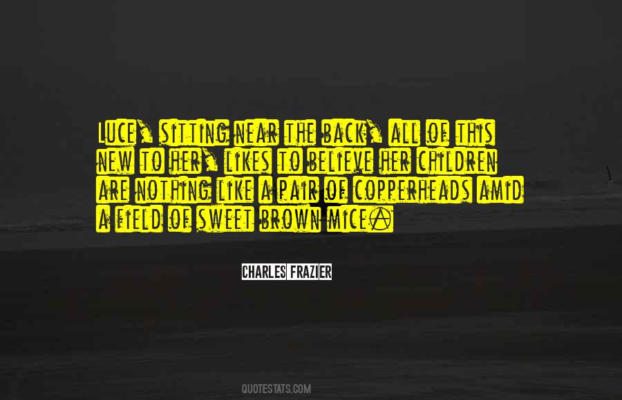 The Breadwinner Shauzia Quotes #1722088