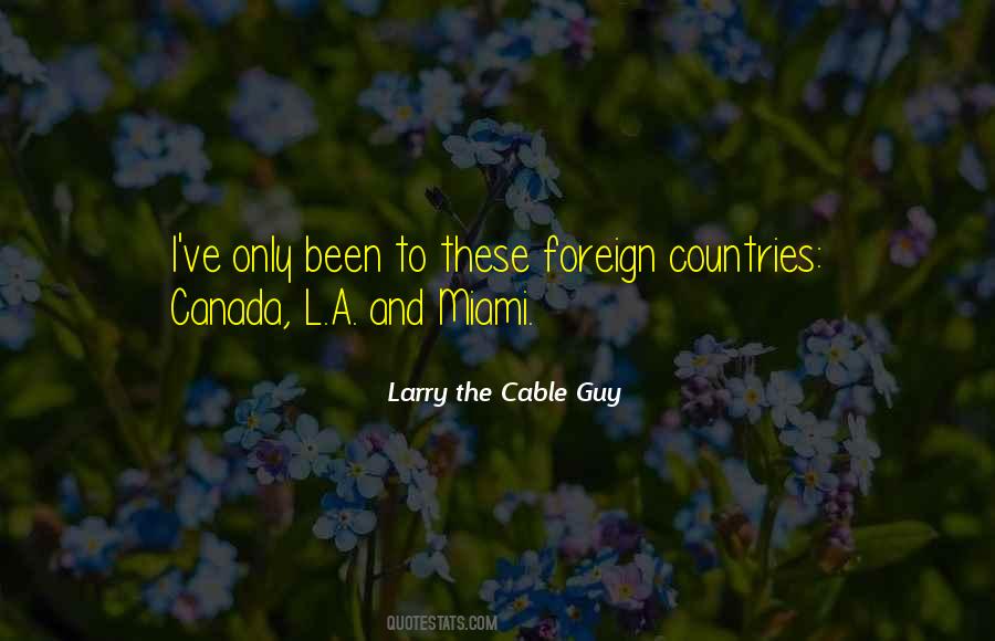 The Cable Guy Quotes #1437229