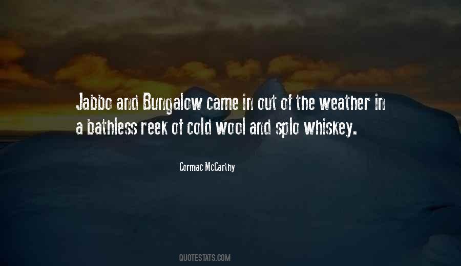 The Cold Weather Quotes #1592042