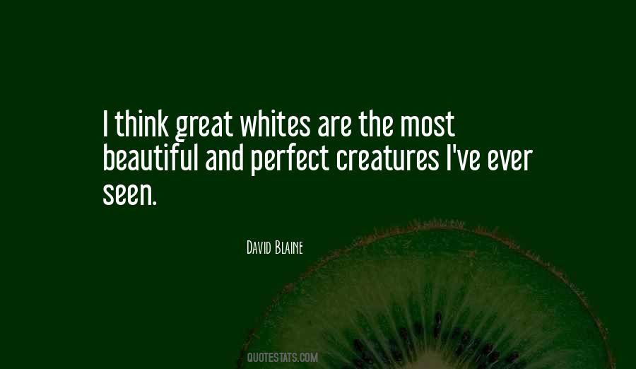 Quotes About David Blaine #1037381