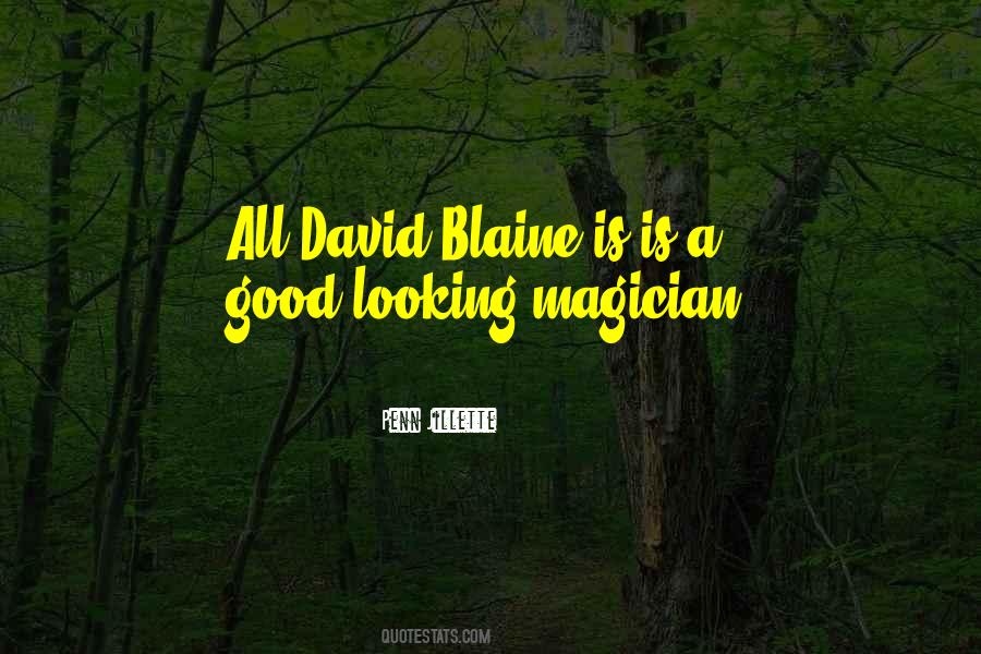Quotes About David Blaine #929870