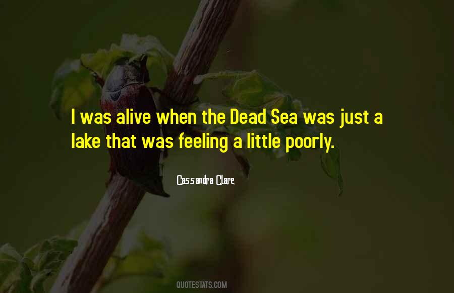 The Dead Sea Quotes #376973