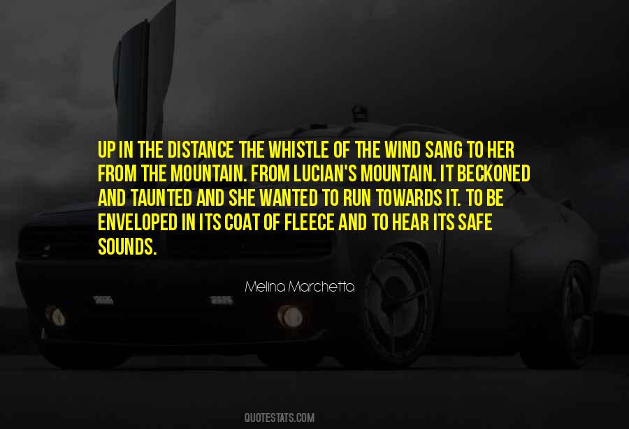 The Distance Love Quotes #1343