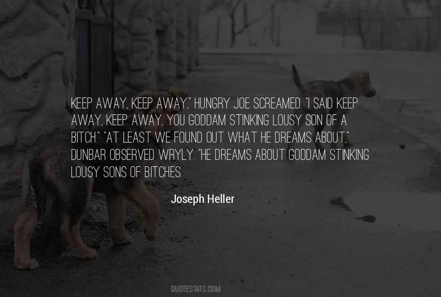 Quotes About Joseph Heller #208696