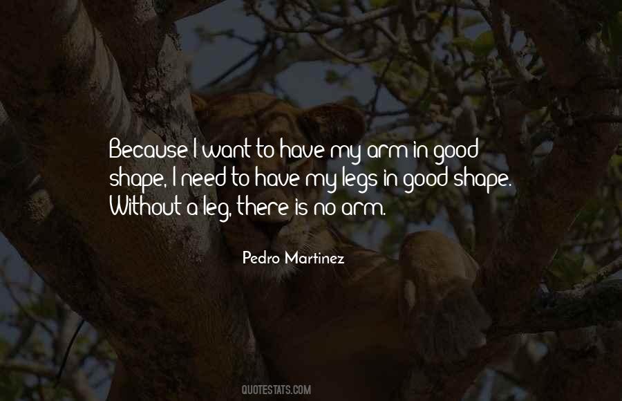 Quotes About Pedro Martinez #239816