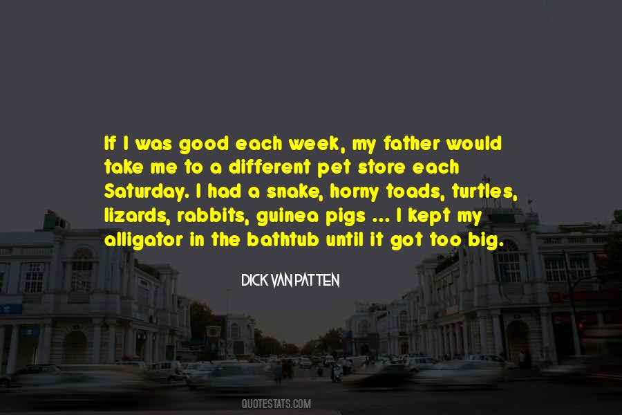 The Good Father Quotes #57974